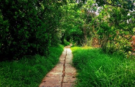 alappuzha tourist places