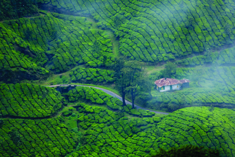 Munnar