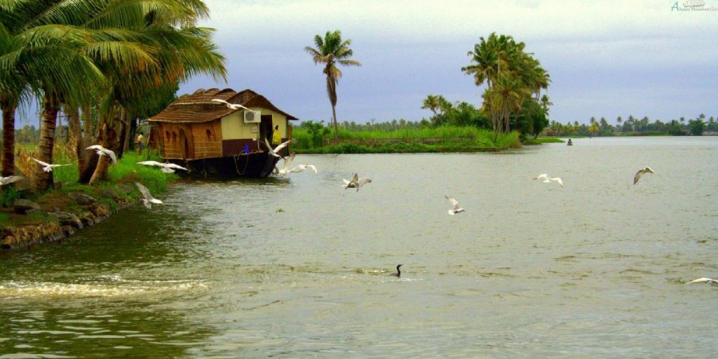 Alappuzha Backwaters