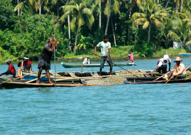 fishing along backwaters