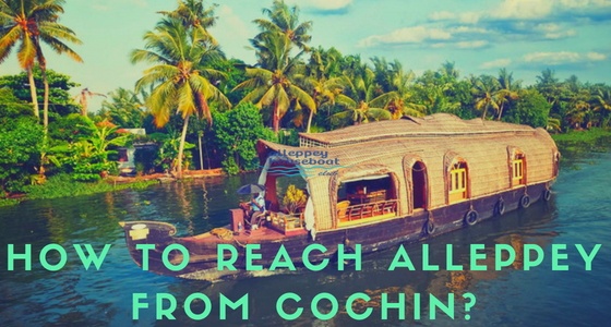 Kochi to alleppey
