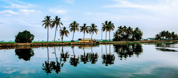 Image result for BACKWATERS IN ALLEPPEY: